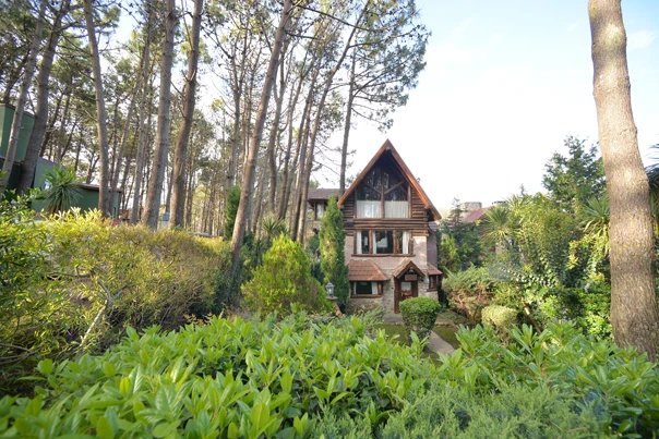 cabania-las-acacias - Cabaña del bosque 